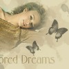 Mirrored Dreams